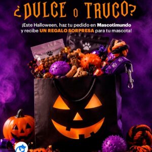 REGALO SORPRESA
